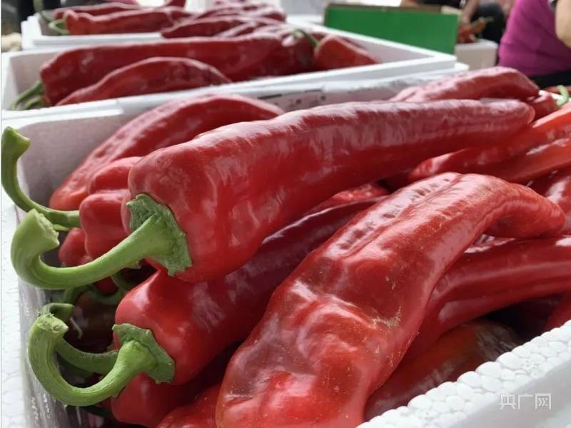 湖南华容县原县委书记刘铁健：地方特色产业如何强县富民