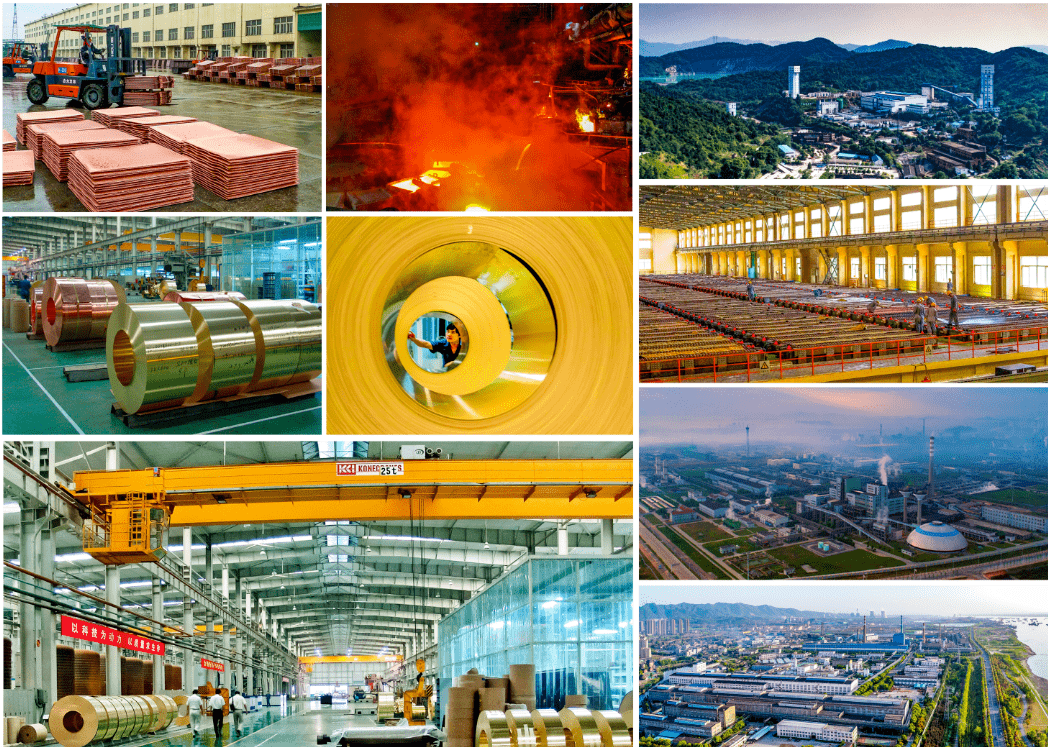 山东国信上半年成绩单出炉：营收超6亿元