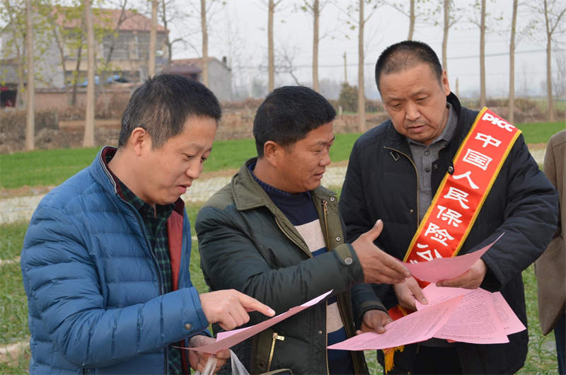 人民城市人民建，“郑书记”撬动一块顽石