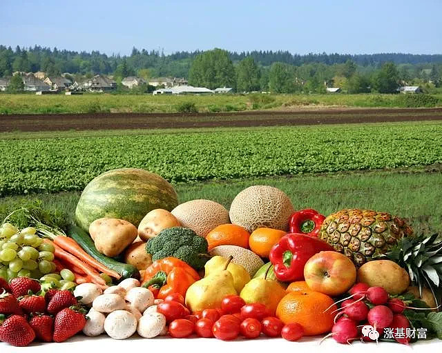 10.63亿元主力资金今日撤离农林牧渔板块