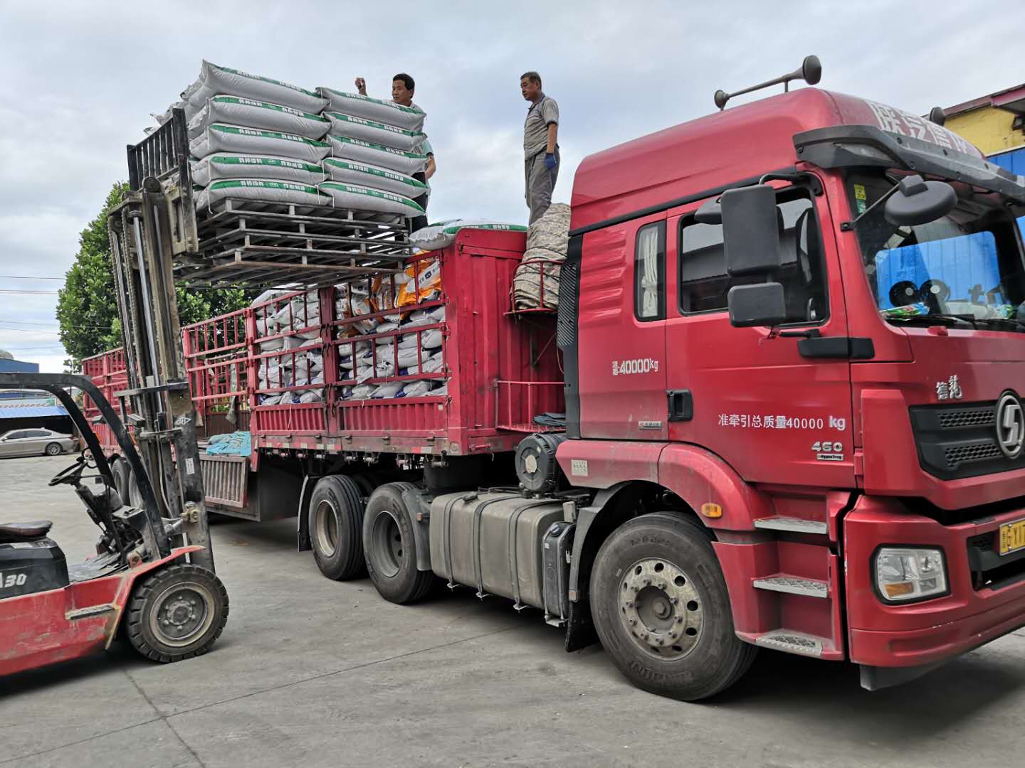 中国浓缩料预混料行业：2025从“粗放增长”到“精准升级”的转型阵痛_人保车险,人保护你周全
