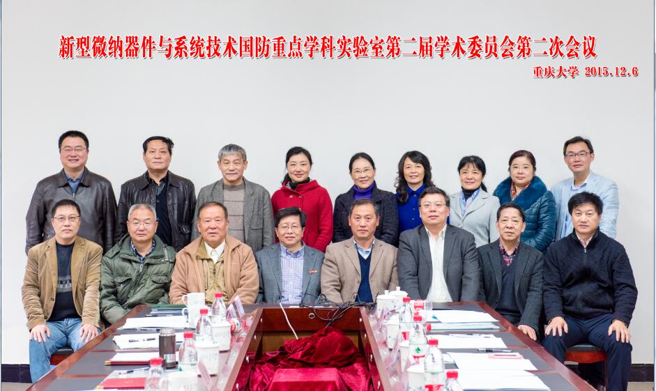2025中国微系统行业：从“微纳制造”到“智能融合”的范式革命_人保伴您前行,拥有“如意行”驾乘险，出行更顺畅！