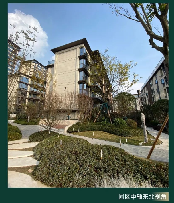 首开股份录得14天12板