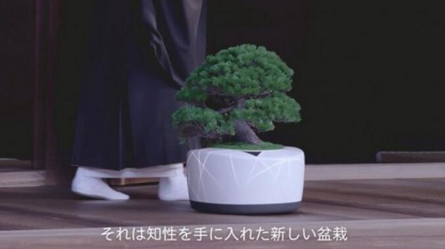从“盆景”到“雨林” 央企“人工智能+”从何发力？