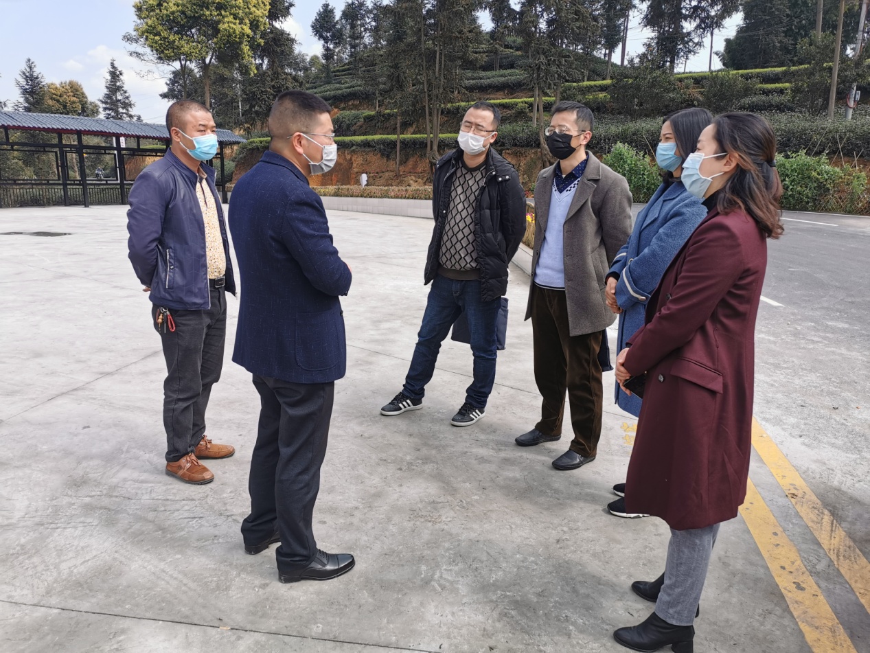 2025年芒果干行业发展前景预测及产业调研报告_人保服务 ,人保财险政银保 