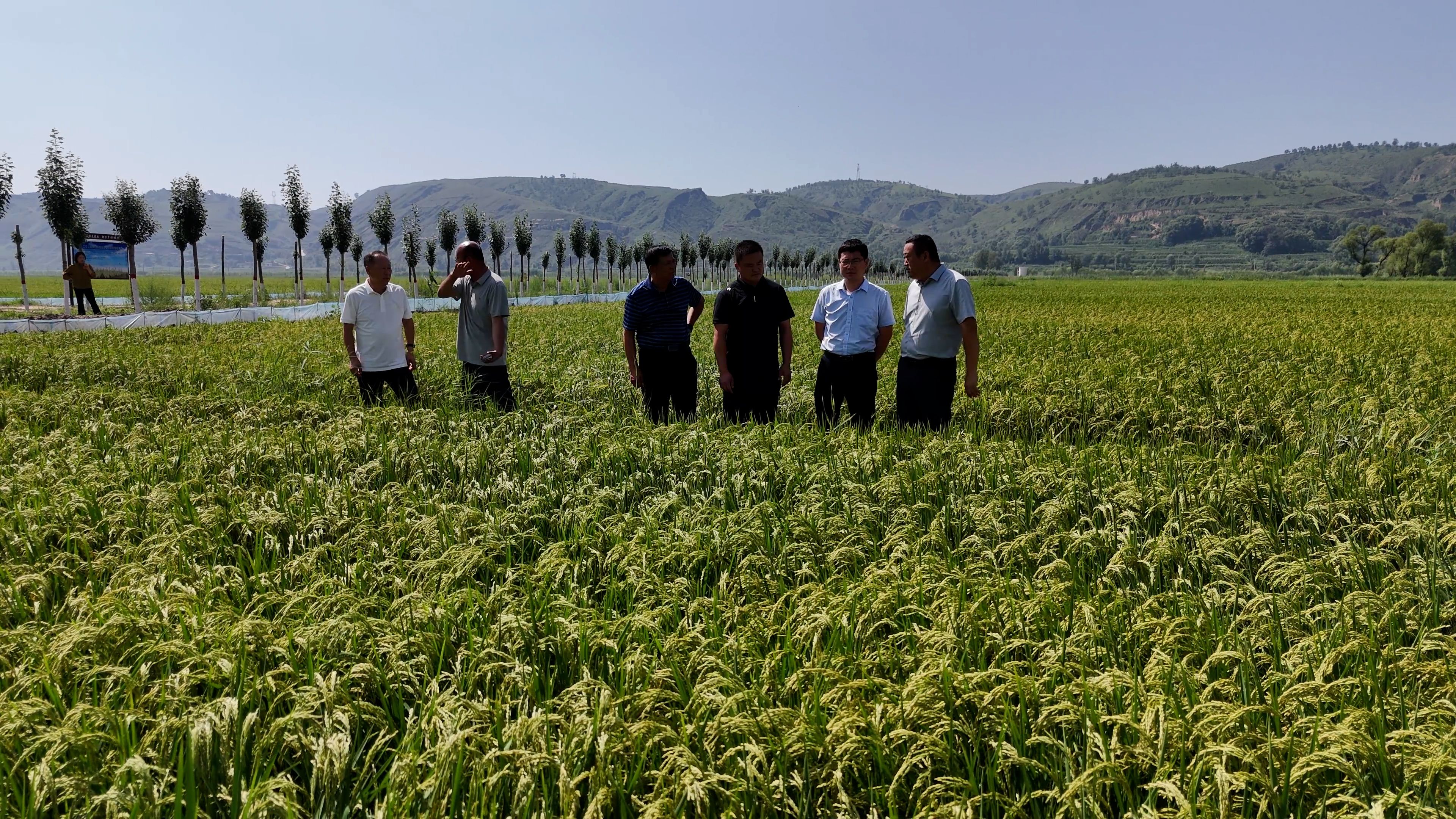 农业农村部、水利部召开农田沟渠整治和平原涝区治理工作推进视频会
