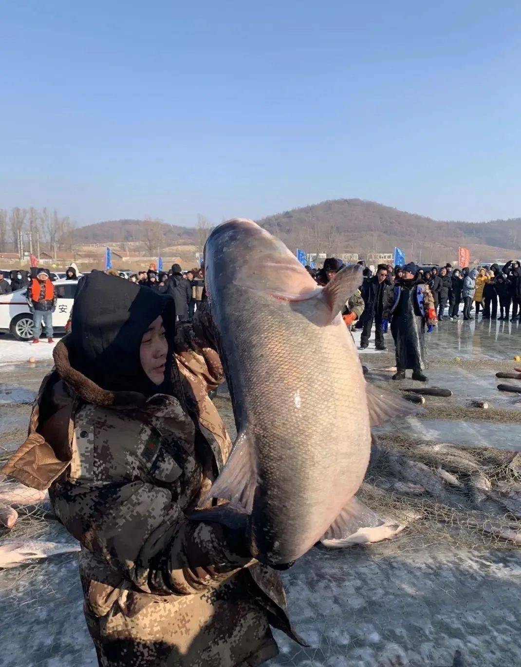 江西新余：秋捕张网鱼满仓 鱼跃人欢喜丰收