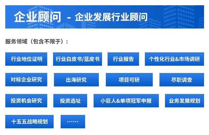人保车险,人保护你周全_2025-2030中国AI电子信息行业投资机遇，聚焦芯片与终端创新