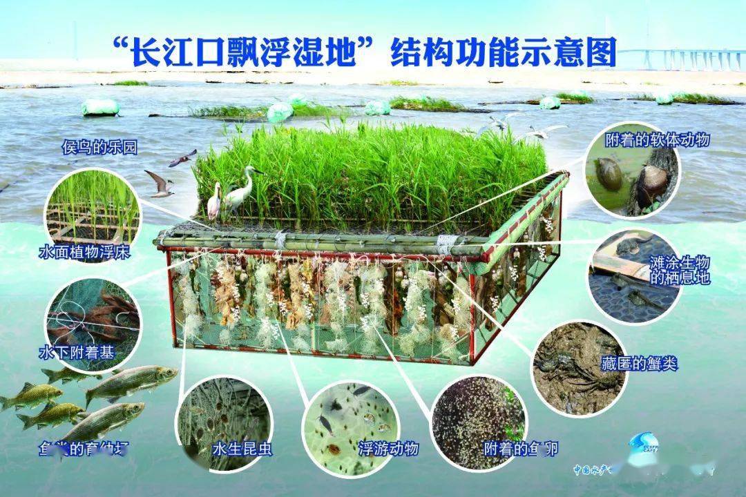 高质量发展看中国丨不仅是发电站更是生态枢纽 中国大坝的绿色蜕变