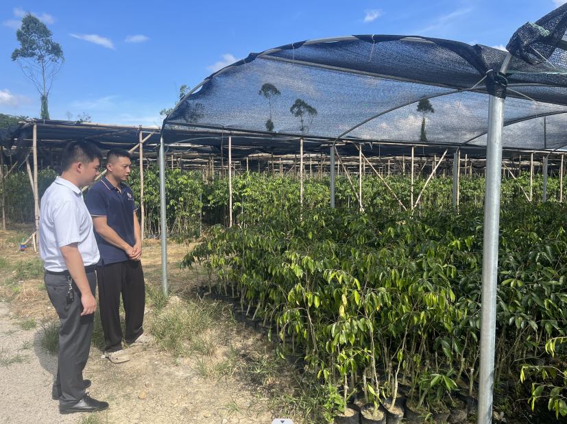 河南农商银行一次性“并表”9地82家机构 金融资源整合提速