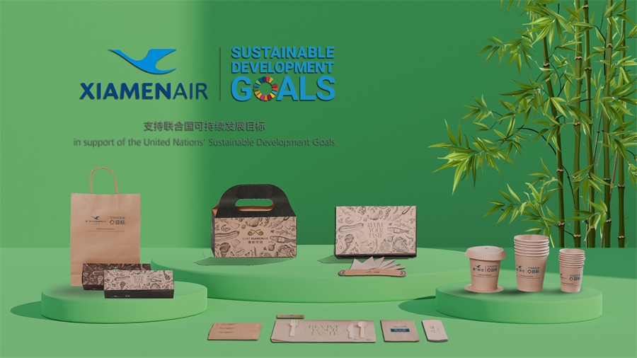 2025年绿色航空行业发展前景预测及产业调研报告_人保财险政银保 ,人保车险