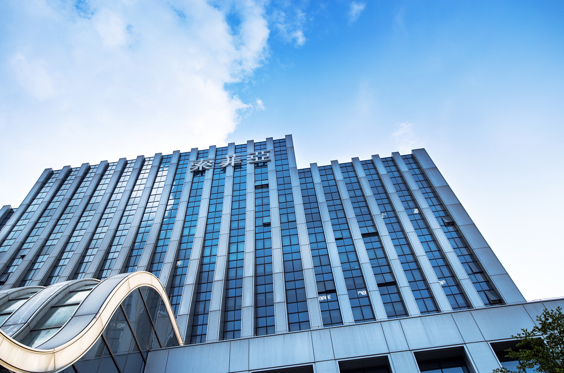 索菲亚核心业务增长乏力，上半年营收净利双降，多品牌与渠道战略遇阻