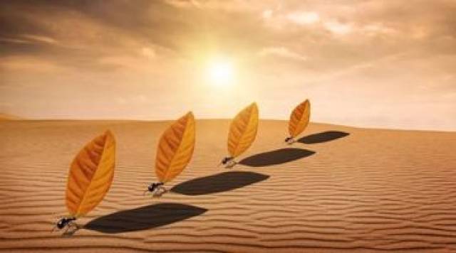 陈春花：计划没有变化快，怎么办？