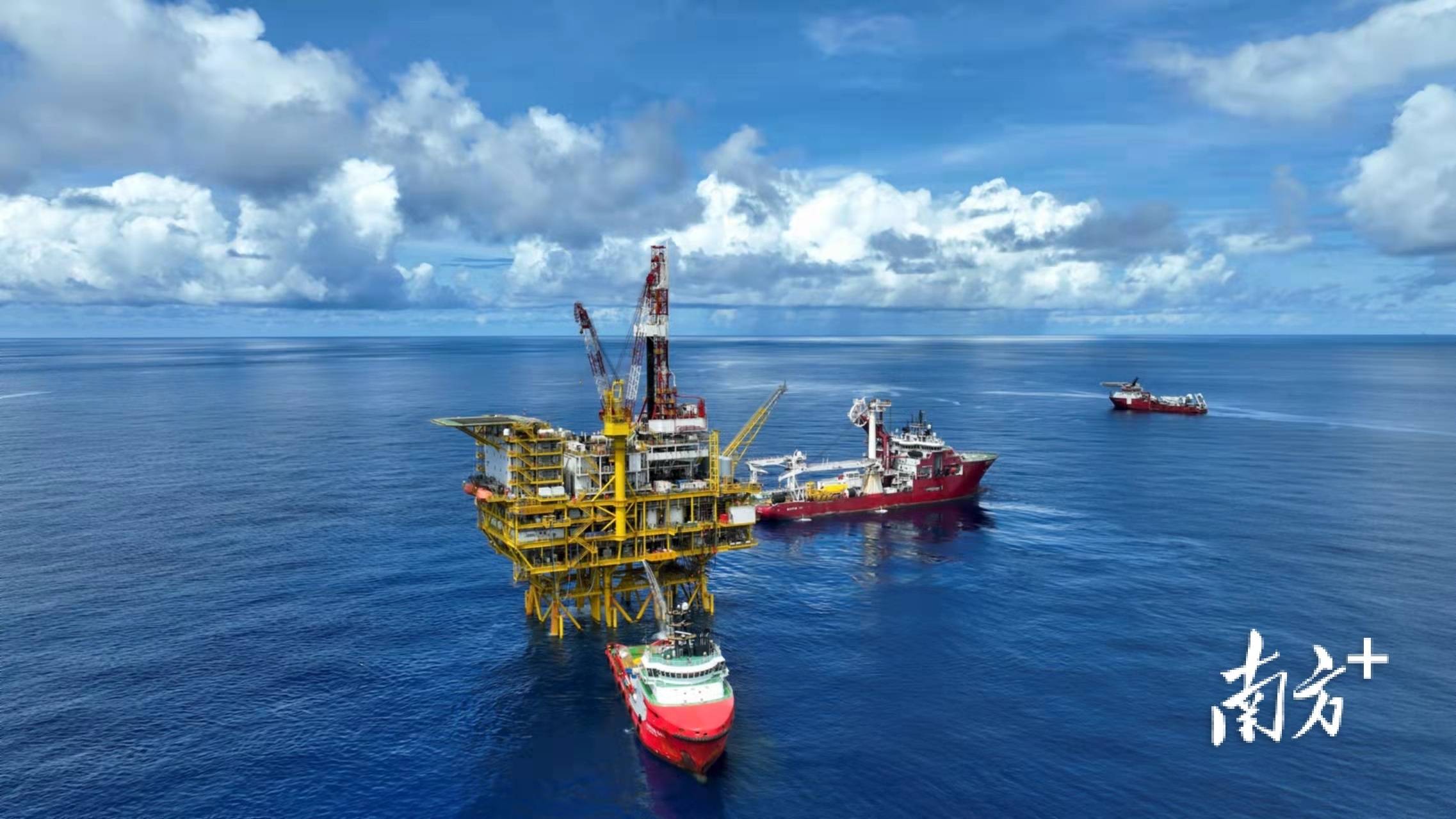 2025年可可膏行业市场分析及未来发展趋势_人保服务,人保财险 