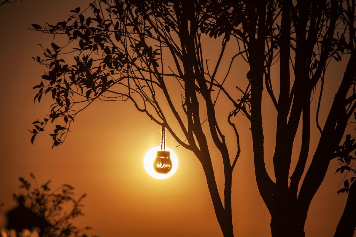 诺奖“提前的认可”，点亮一盏守望的灯