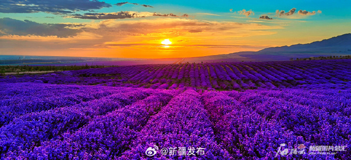 情绪价值领跑国庆旅游：新疆等远途目的地搜索涨60%，“治愈式体验”成主流