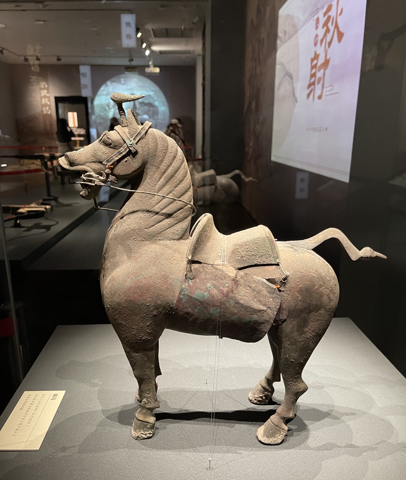 天津博物馆10月起举办甘肃出土汉简特展