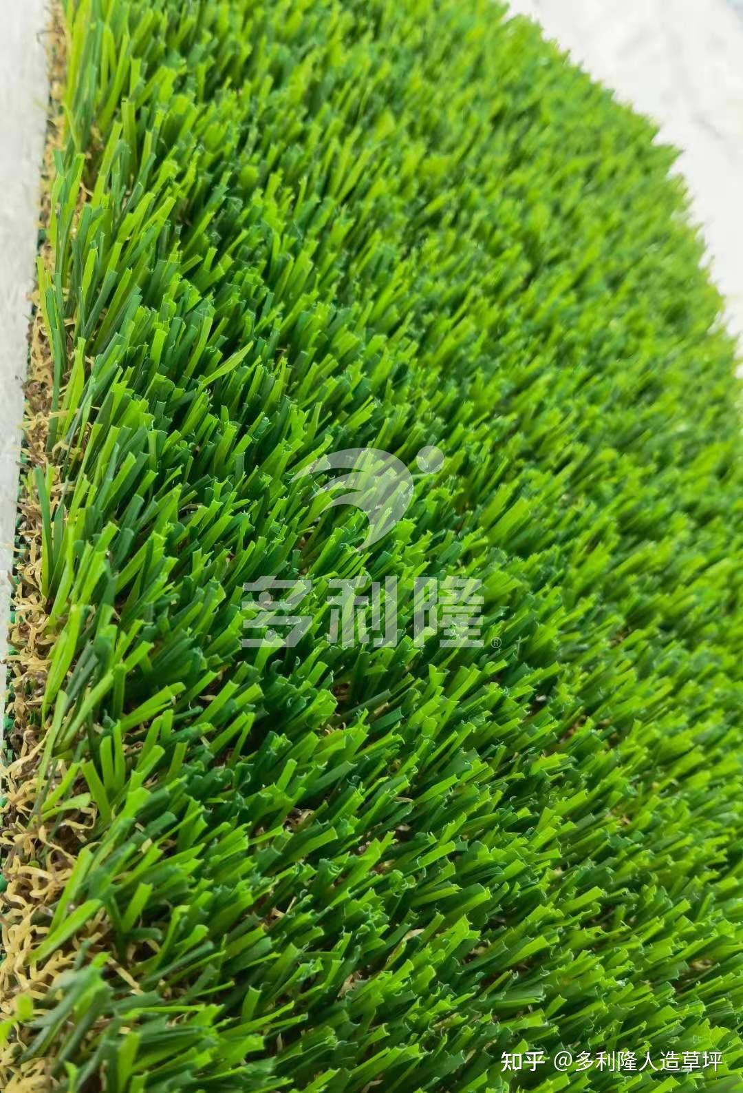 2025人造草坪行业市场分析及未来发展前景预测_人保财险政银保 ,人保护你周全