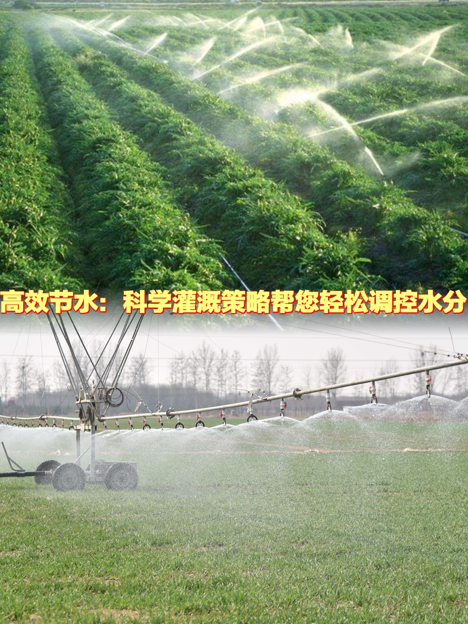 人保车险,人保财险政银保 _2025中国渗灌设备行业：从“单一灌溉”到“智能生态”的跨越