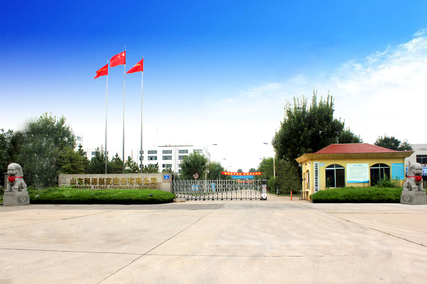 力诺大健康的AI转型