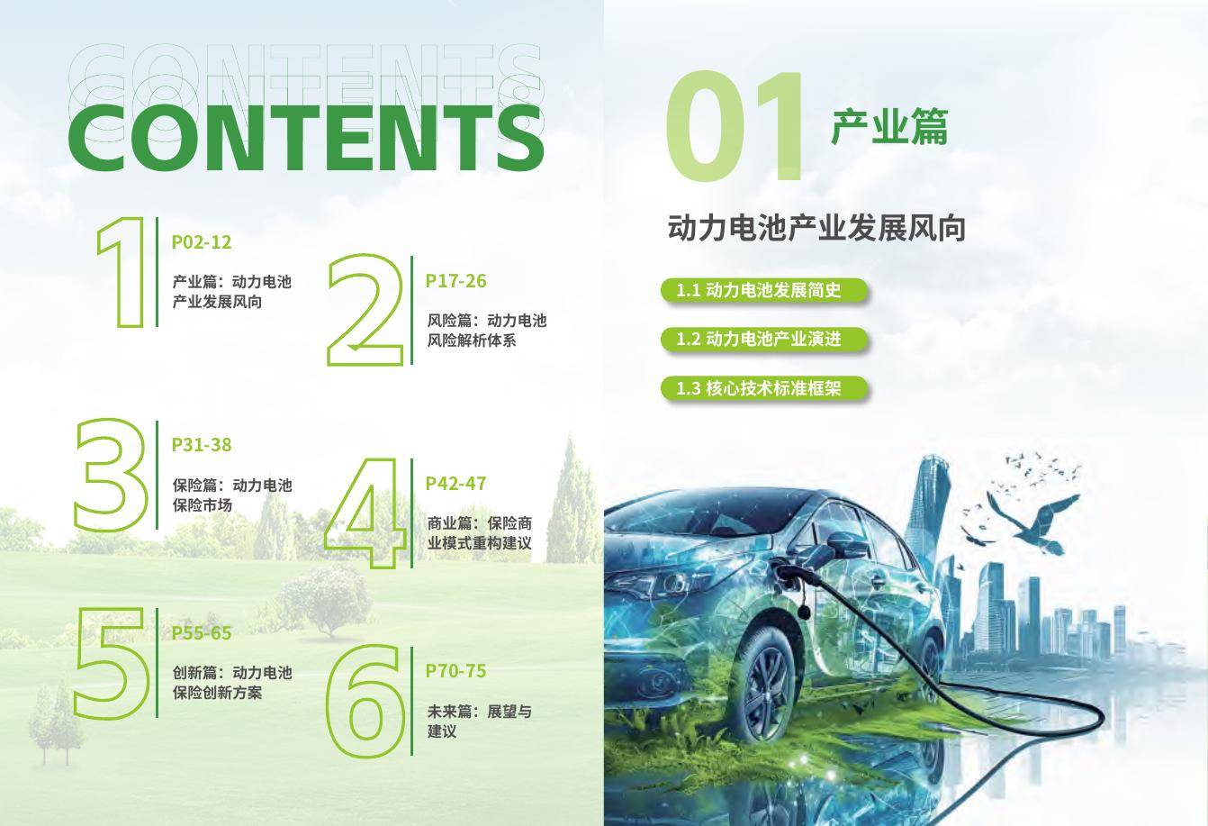 人保车险,人保有温度_2025-2030年中国综合能源服务行业投资价值与前景