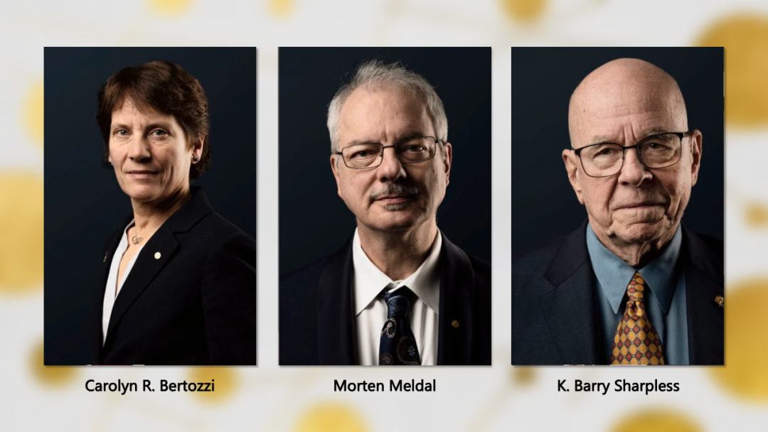 诺贝尔经济学奖给了科技创新