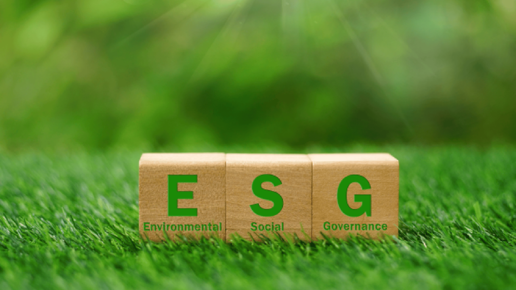 【ESG动态】鸿路钢构（002541.SZ）获华证指数ESG最新评级CCC，行业排名第14