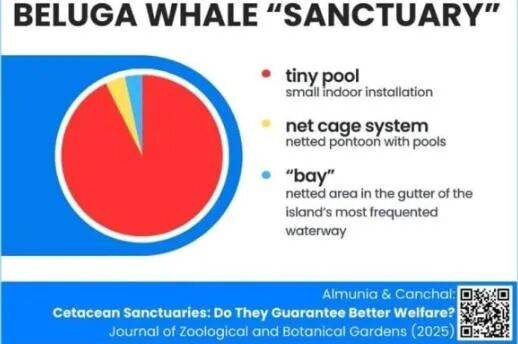 从“两头在内”到“两头在外” 自贸离岸债的新征途