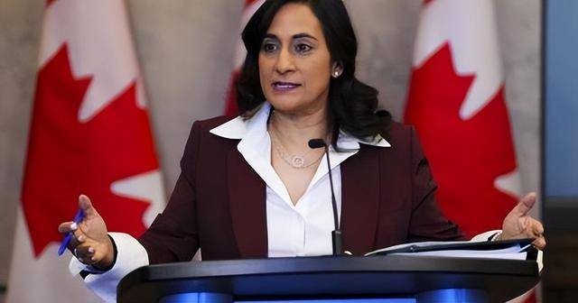 王毅同加拿大外长阿南德会谈