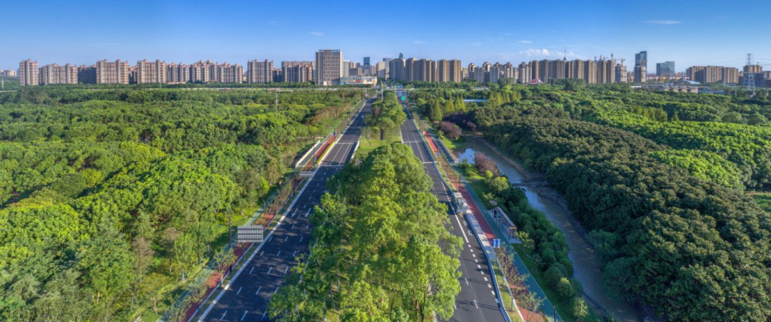 专访无忧传媒雷彬艺:“健康”战略重塑红人经济生态 以生态共建打开增长新空间