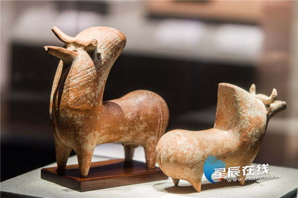 十月行记｜安阳识骨记：三千年文明的当代回响