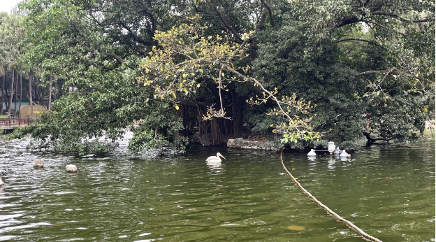 证监会印发工作方案优化合格境外投资者制度