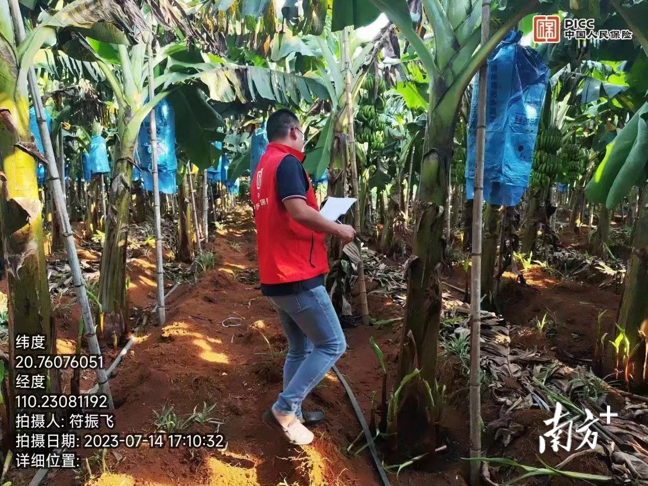 人保伴您前行,人保有温度_鲜鸡肉行业现状与发展趋势分析