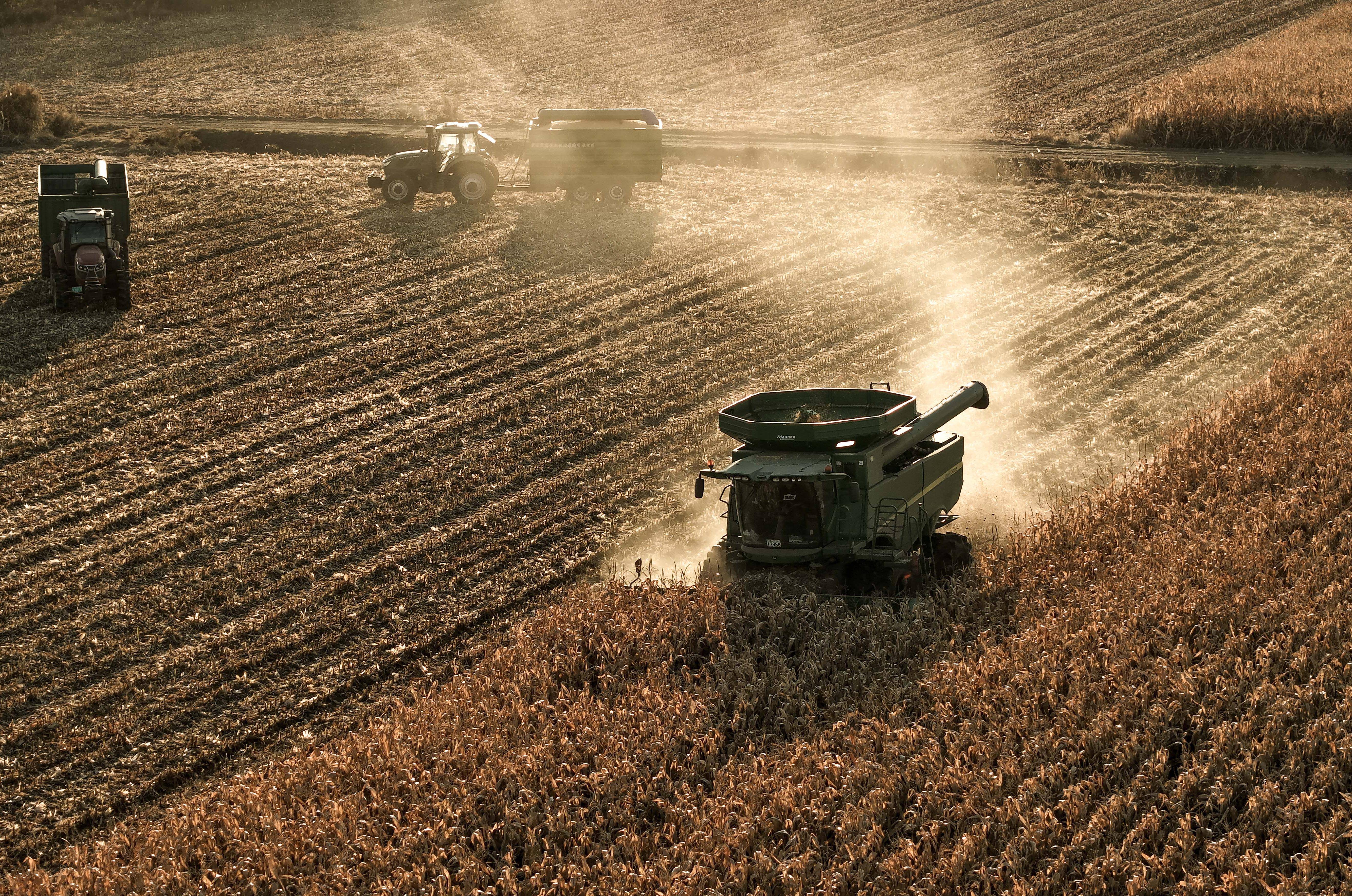 无人机照明助力玉米抢收 安徽秋粮收获超七成