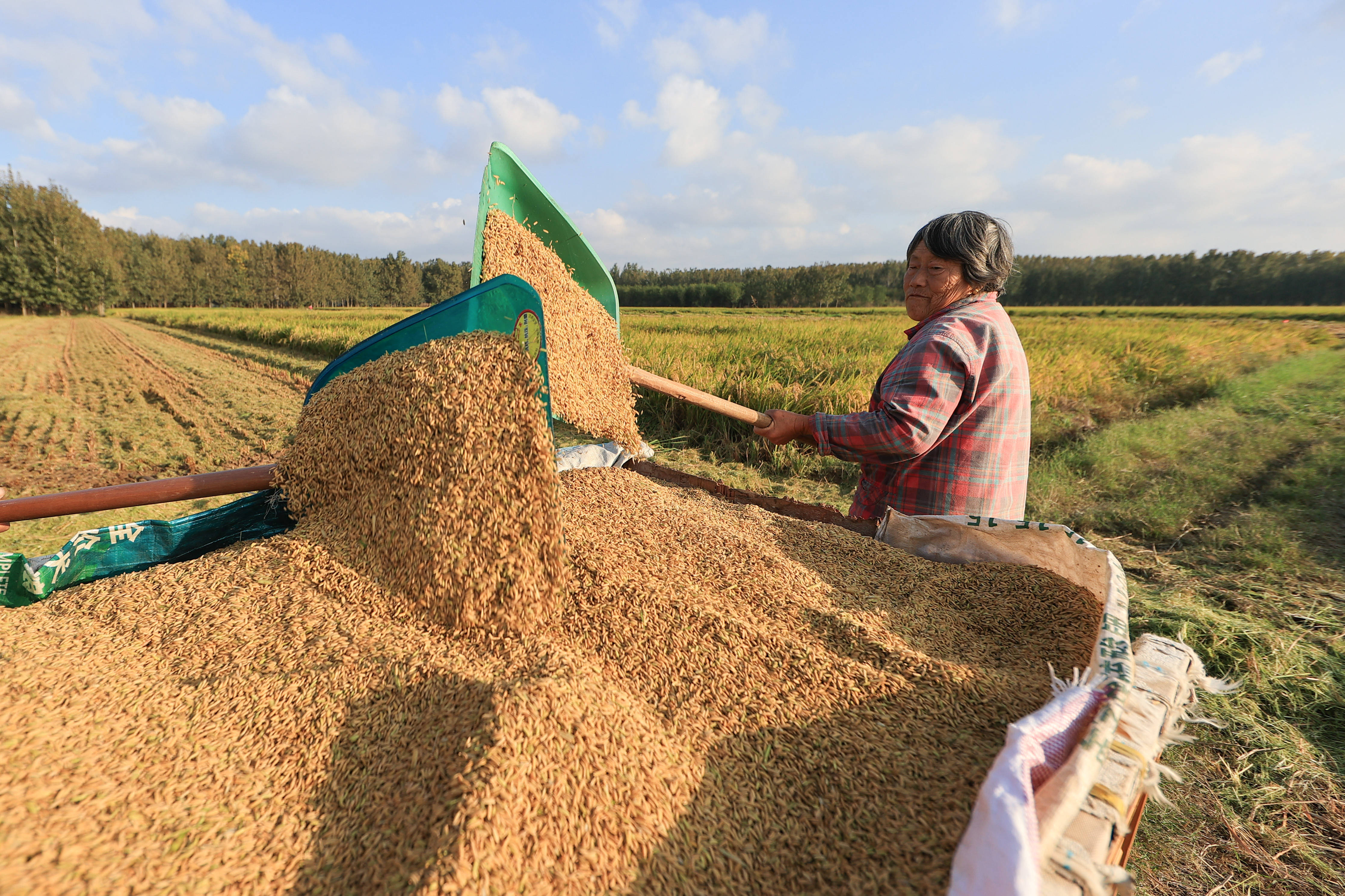 无人机照明助力玉米抢收 安徽秋粮收获超七成