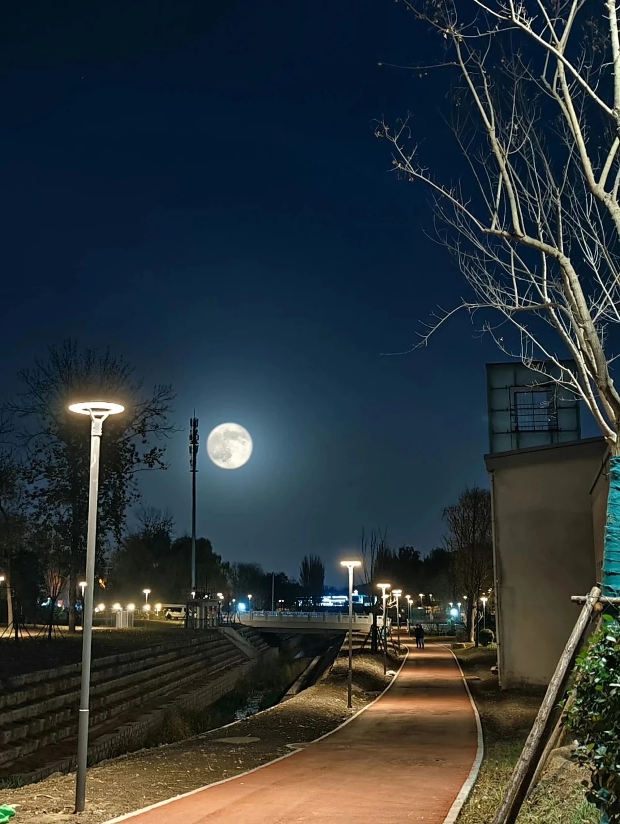 今年“个头”最大的“超级月亮”即将“上线”