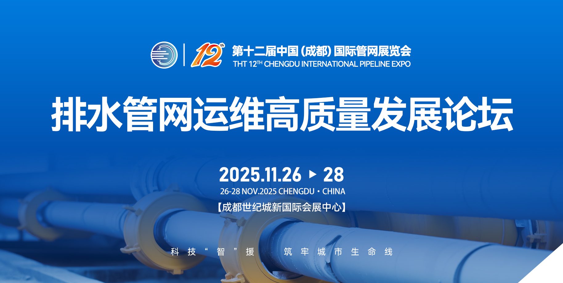 2025城市生命线数字化工程建设行业市场规模及趋势分析_人保车险   品牌优势——快速了解燃油汽车车险,保险有温度