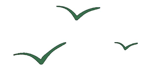 IPO动态：鞍石生物拟在上交所科创板上市募资24.5亿元