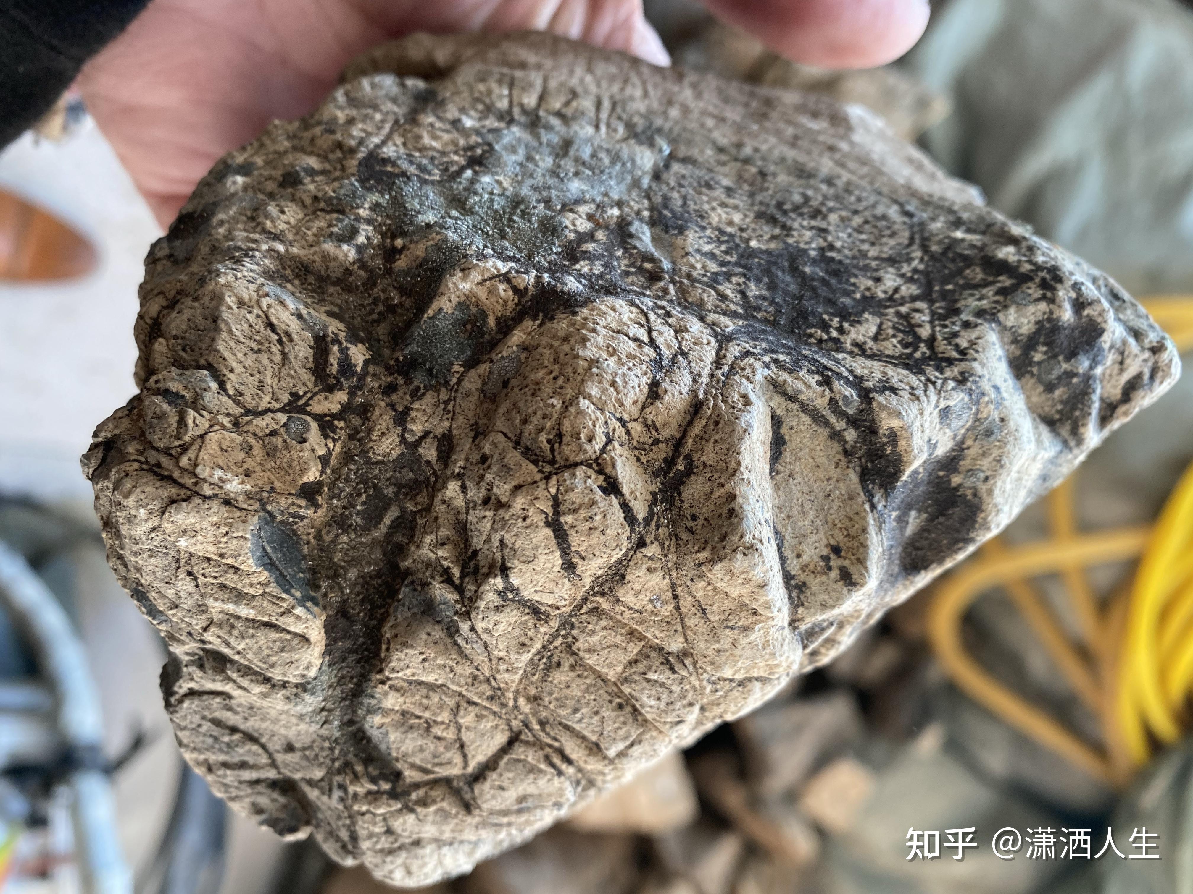 章源钨业获得发明专利授权：“一种碳化钨中不溶碳的富集和鉴别方法及其应用”