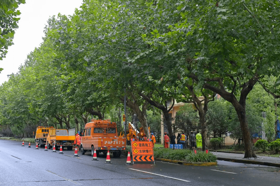 灿能电力龙虎榜:营业部净买入14.97万元