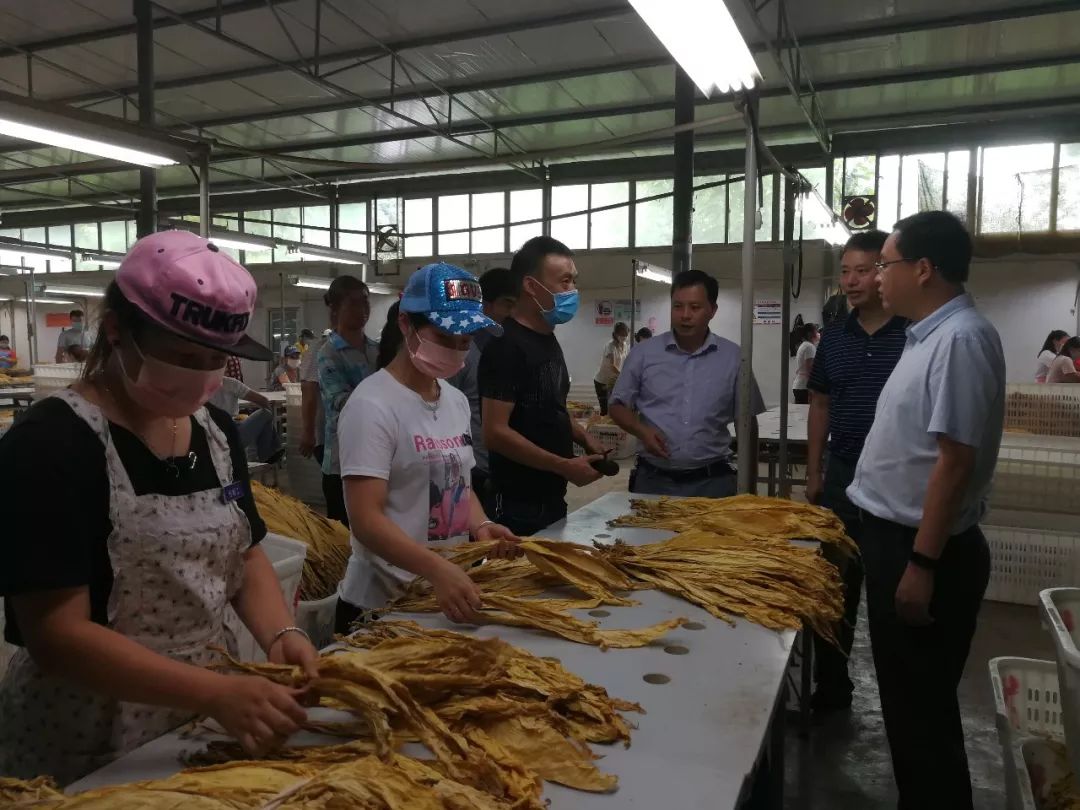 供给不足，场景短板如何补