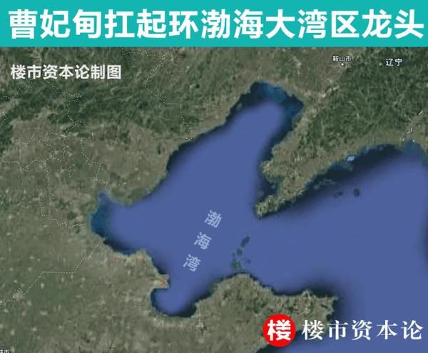 上市公司集群崛起：大湾区经济跃迁“C位担当”