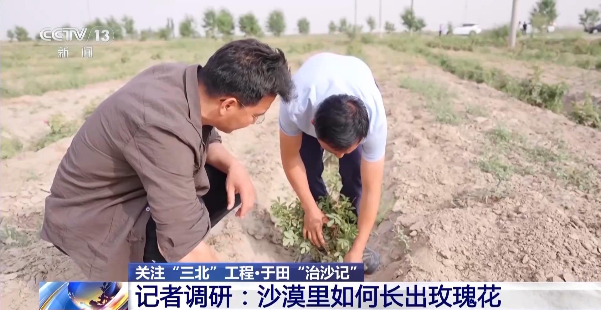 科技点沙成“金”产出“大经济” 多样化“沙漠海鲜”撑起养殖户“钱袋子”