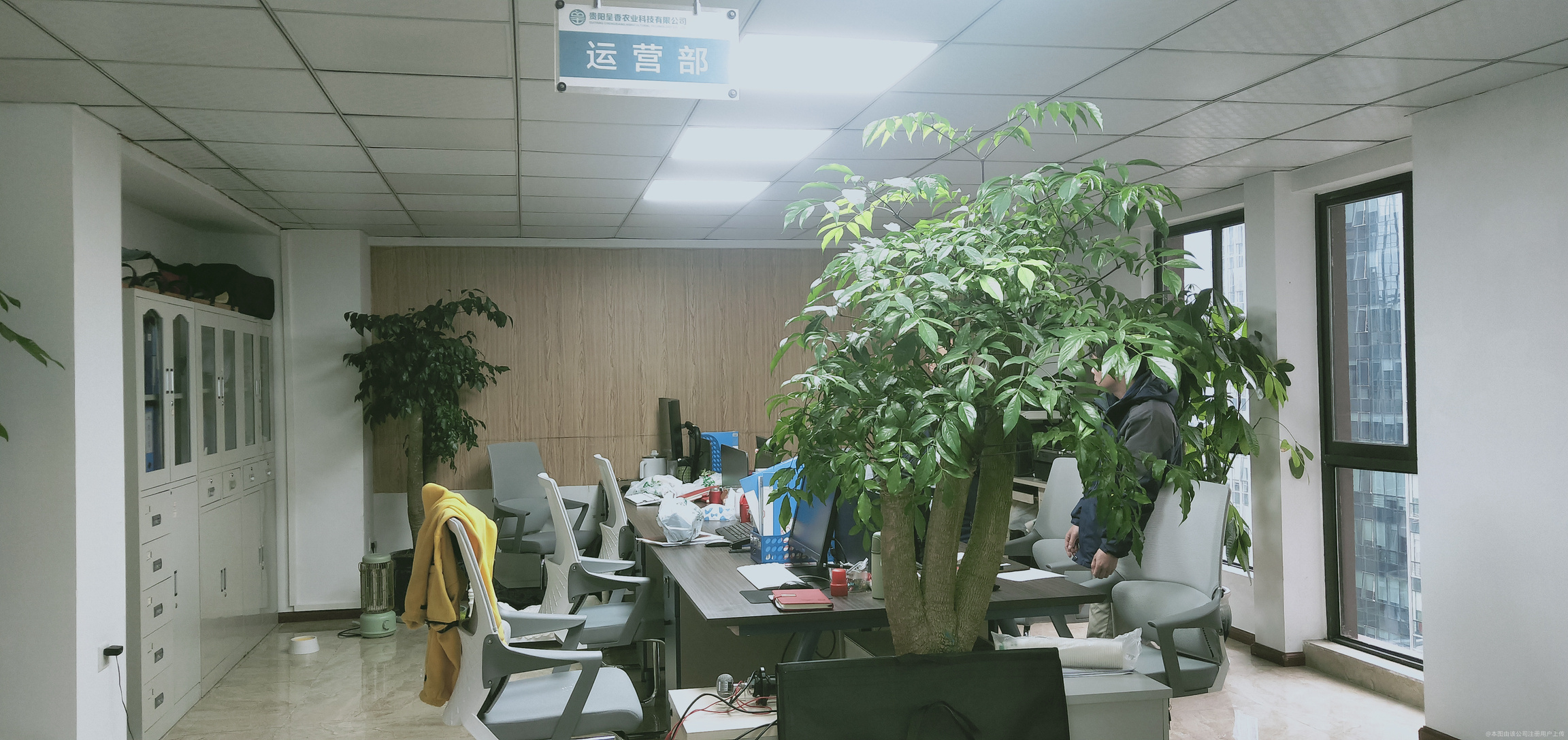 星宸科技：预期毛利率将呈逐季向好的趋势