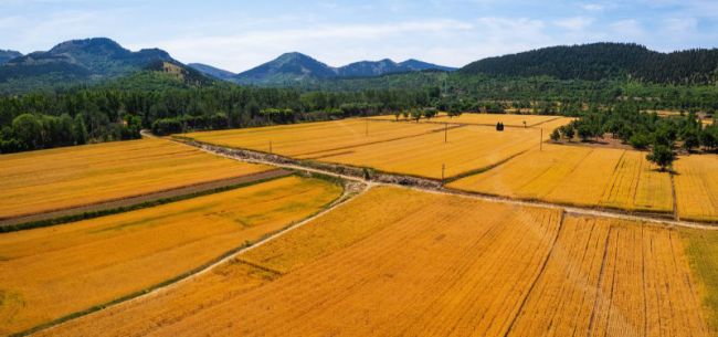 山东政商要情（12.15―12.21）