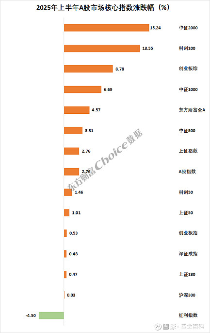 2025A股收官！超500股翻倍