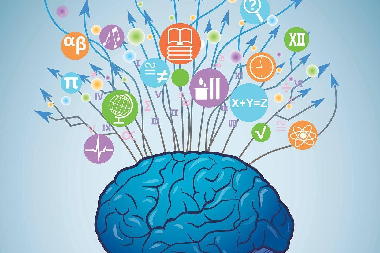 越聪明的孩子越难带？脑科学：若娃有这4种“烦人”表现，你就偷着乐吧