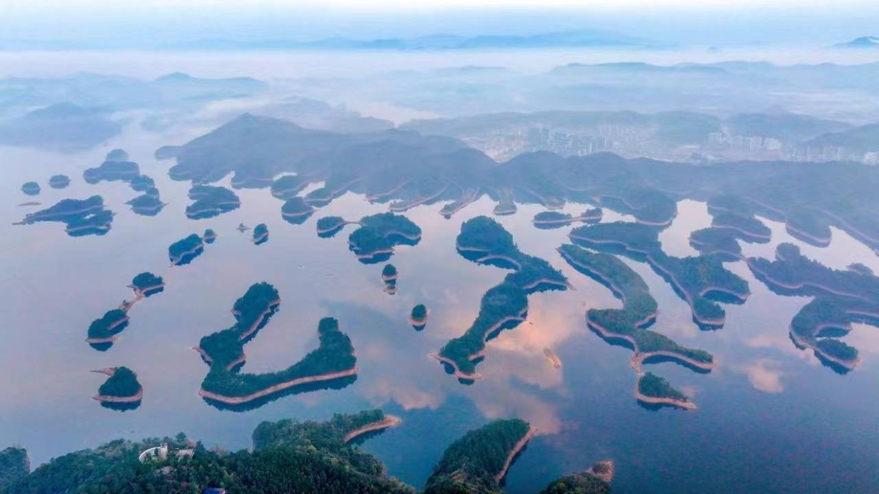 拥有“如意行”驾乘险，出行更顺畅！,人保有温度_2026有机种植行业全面调研及未来前景分析