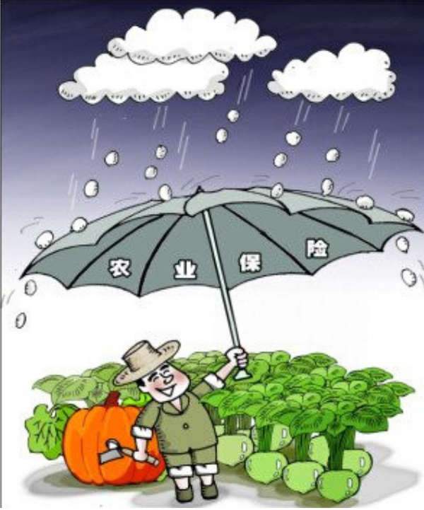 保险诈骗奇事:被“包装”的死亡