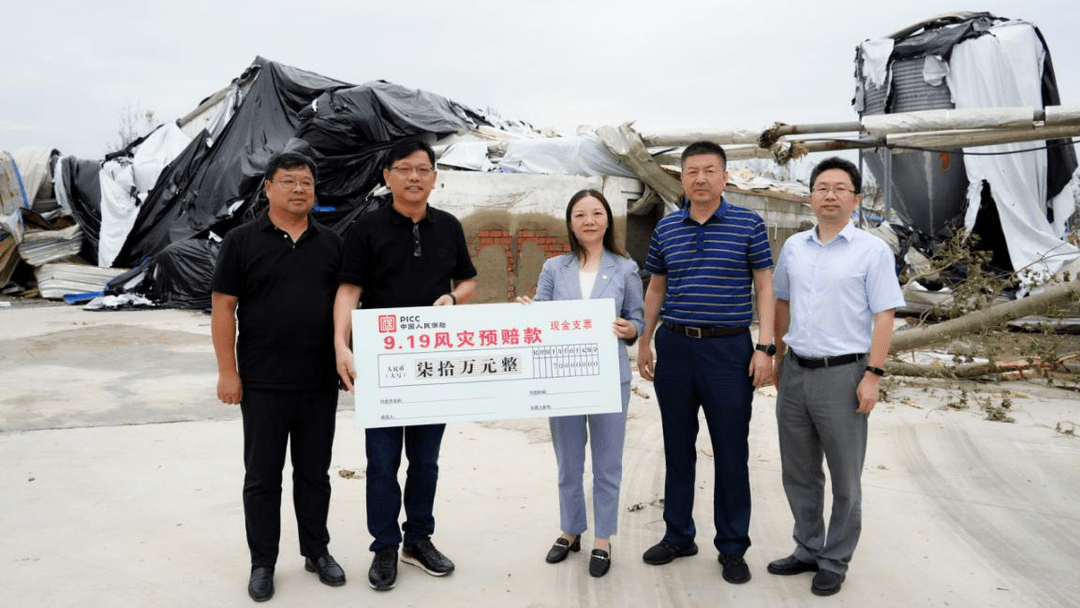 服装加工行业市场规模与发展前景分析_人保财险政银保 ,人保有温度